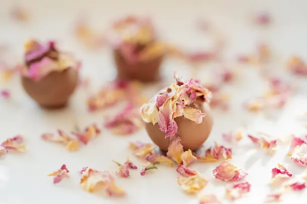 LottoKings Kasyno Aplikacja Android/iOS